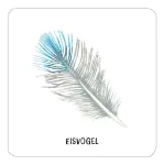 Bild von Das grosse Vogel Memo - Wer findet die meisten Paare?, VE-1