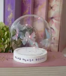 Bild von Just One More Chapter LED-Schmetterlingskuppel, VE-4