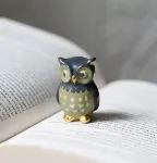 Bild von moses. libri_x Eule Geschichtenwächterin, VE-12