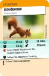 Bild von Tiere Toppen, VE-1