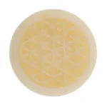 Bild von Patchouli Vanille Wachsschmelze