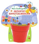 Bild von Mein Zaubergarten Anzuchtsets für Insektenfreunde, VE-8