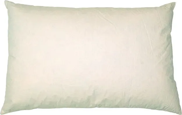 Bild von Sofakissen Gänse- und Entenfeder 30 x 50 cm