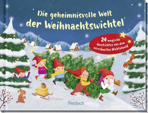 Bild von Aufreissbuch, Geheimnisvolle Welt Weihnachtswichtel