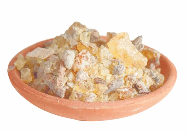 Bild von Reine Harze - Copal gold, 500 g lose