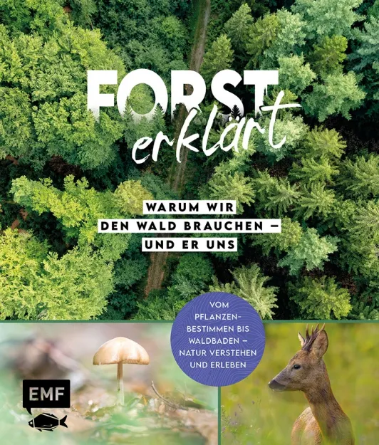 Bild von Forst erklärt: Forst erklärt: Warum wirden Wald brauchen – und er uns