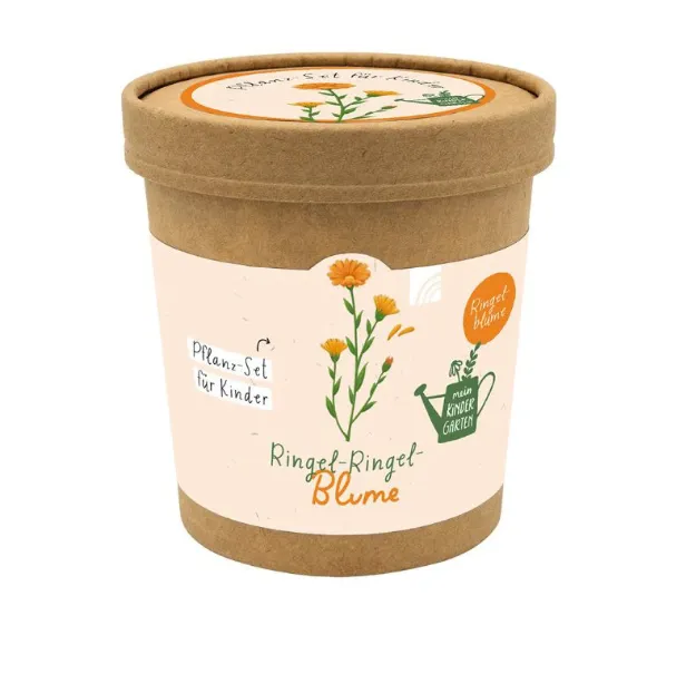 Bild von Ringel-Ringel-Blume