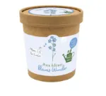 Bild von Mein kleines blaues Wunder