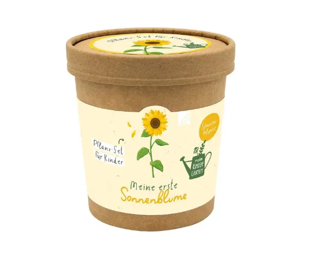 Bild von Meine erste Sonnenblume