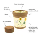 Bild von Meine erste Sonnenblume