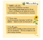 Bild von Meine erste Sonnenblume