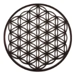 Bild von Blume des Lebens