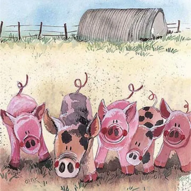 Bild von FIVE LITTLE PIGS