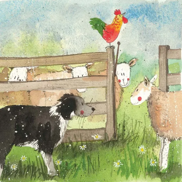 Bild von ROUND-UP BLANK CARD