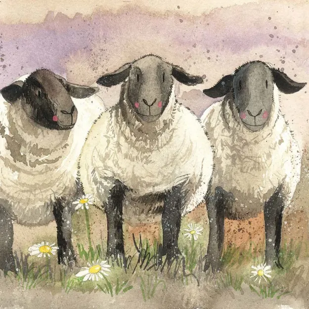 Bild von SUFFOLKS BLANK CARD