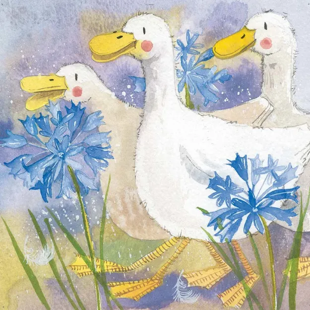 Bild von THREE DUCKS BLANK CARD