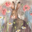 Bild von HARE AND POPPIES BLANK CARD