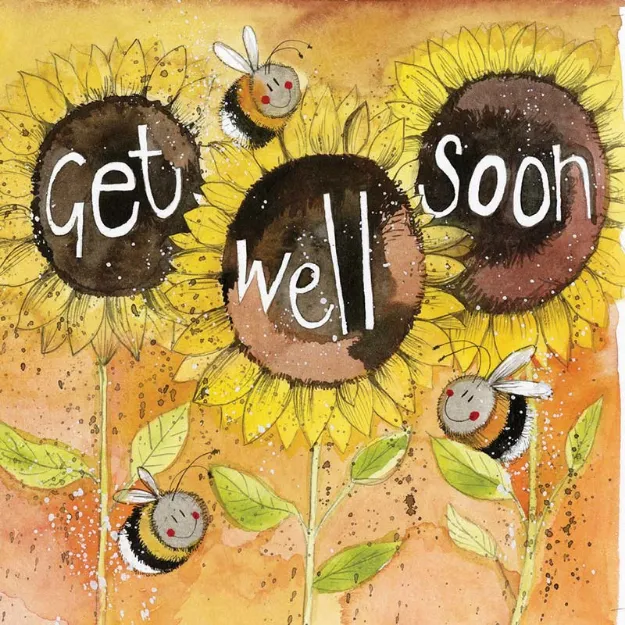 Bild von GET WELL SUNFLOWERS