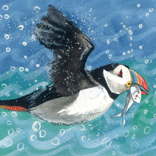 Bild von PUFFIN BLANK CARD