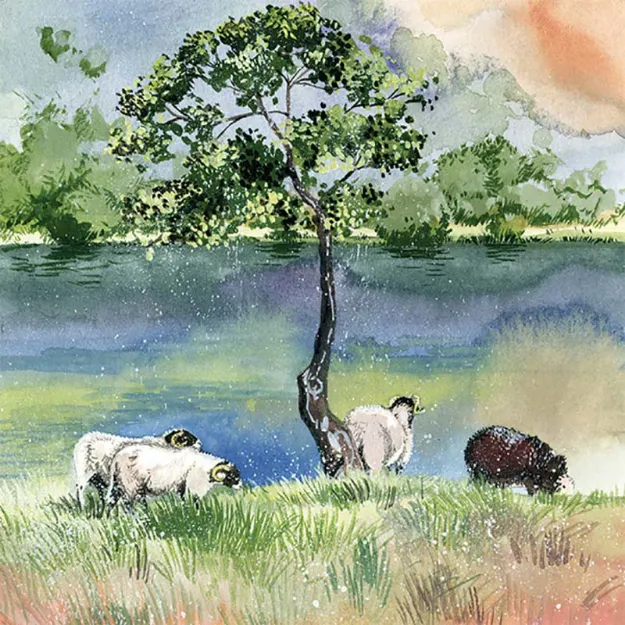 Bild von OUT TO GRASS BLANK CARD