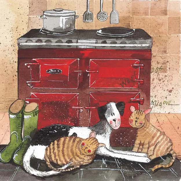 Bild von IN THE WARMTH