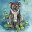 Bild von KOALA BLANK CARD
