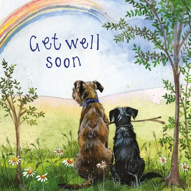 Bild von RAINBOW DOGS GET WELL SOON CARD