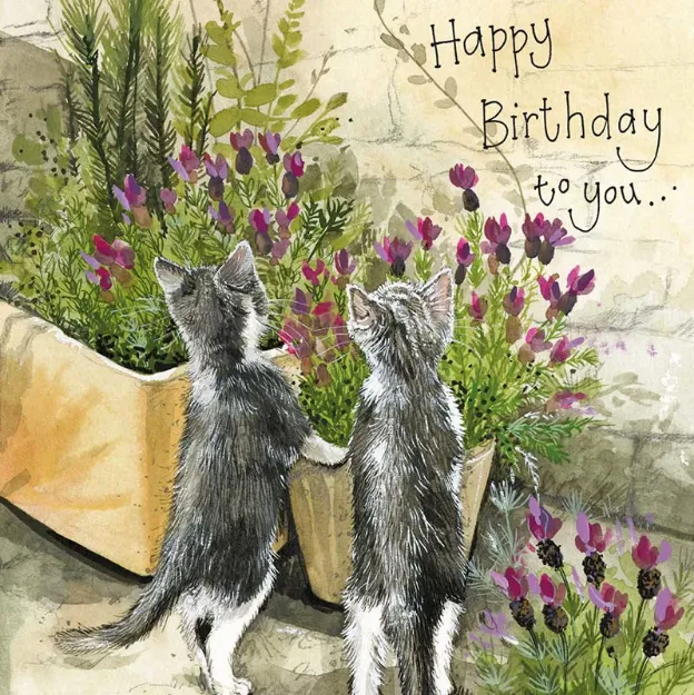 Bild von IN THE LAVENDER BIRTHDAY CARD