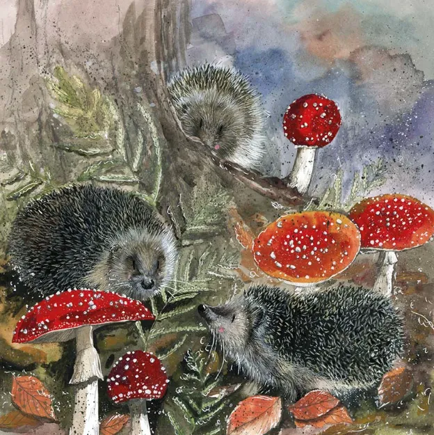 Bild von HEDGEHOGS BLANK CARD