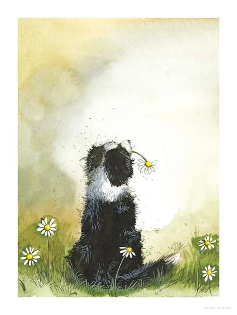 Bild von COLLIE AND DAISIES