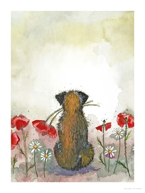 Bild von BORDER AND POPPIES