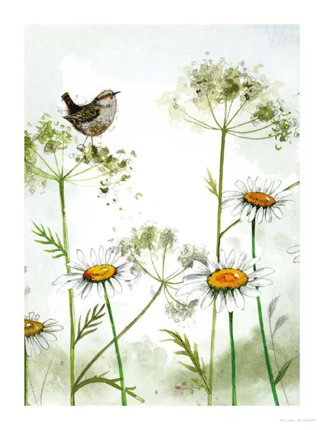 Bild von WREN AND DAISY