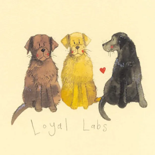 Bild von LOYAL LABS