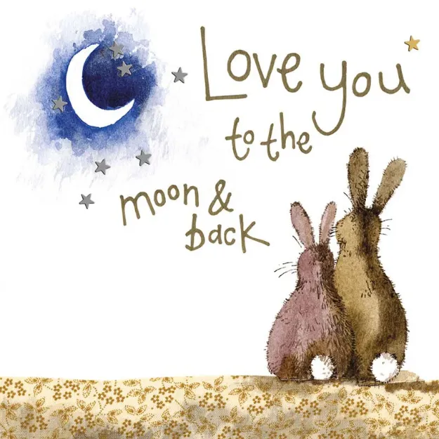 Bild von MOON AND BACK COASTER