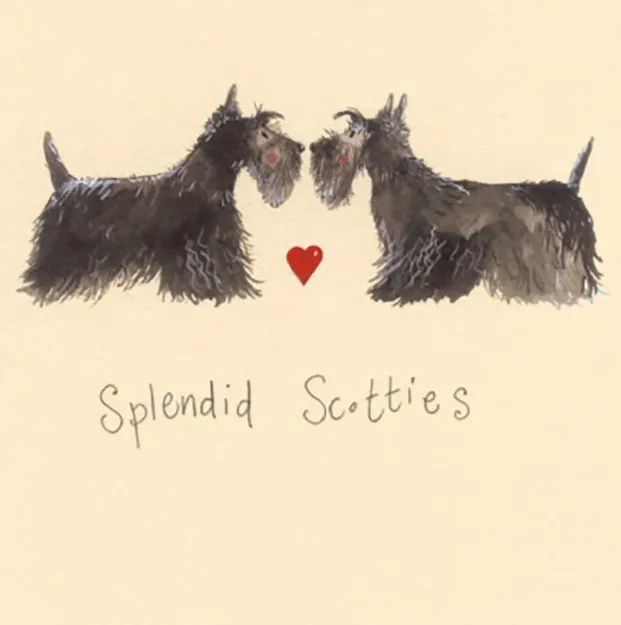 Bild von SPLENDID SCOTTIES