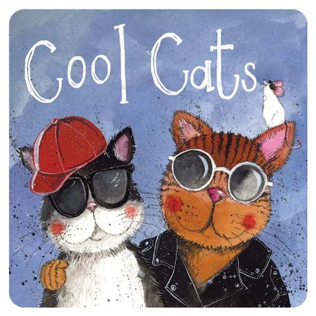 Bild von COOL CATS