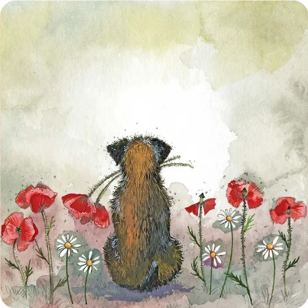 Bild von BORDER AND POPPIES