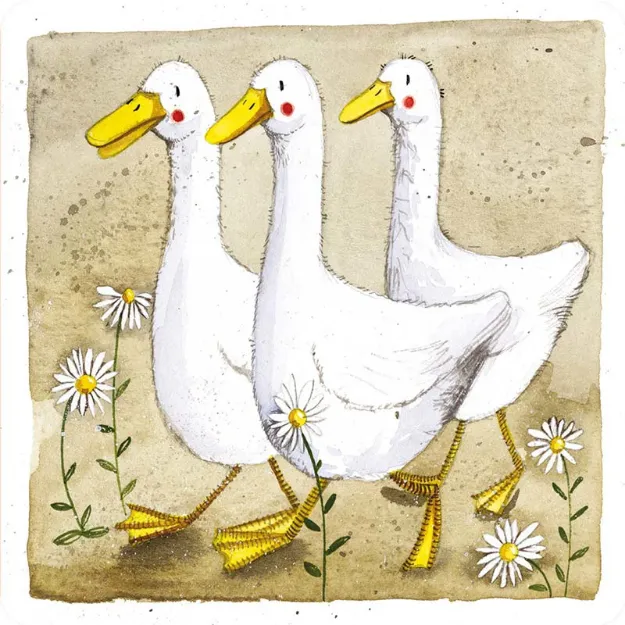 Bild von DILLARD, DUDLEY AND BILL