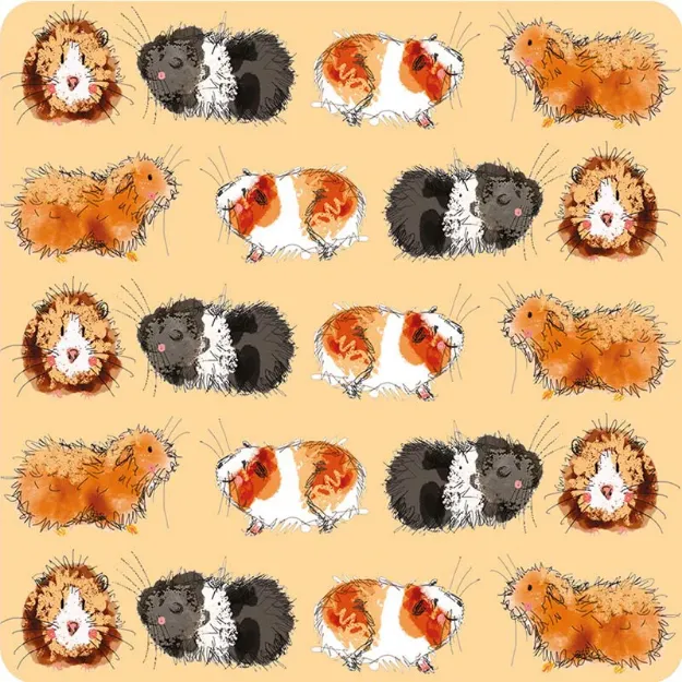 Bild von GUINEA PIGS