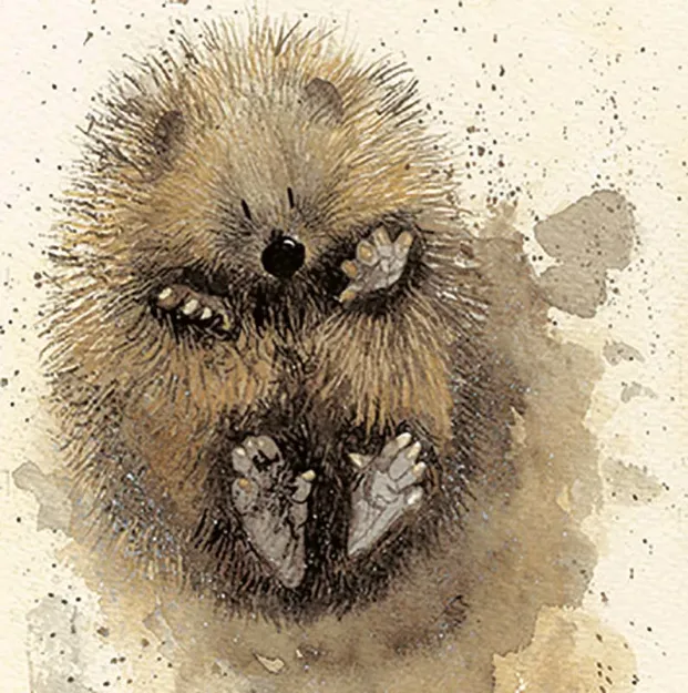 Bild von PRICKLES