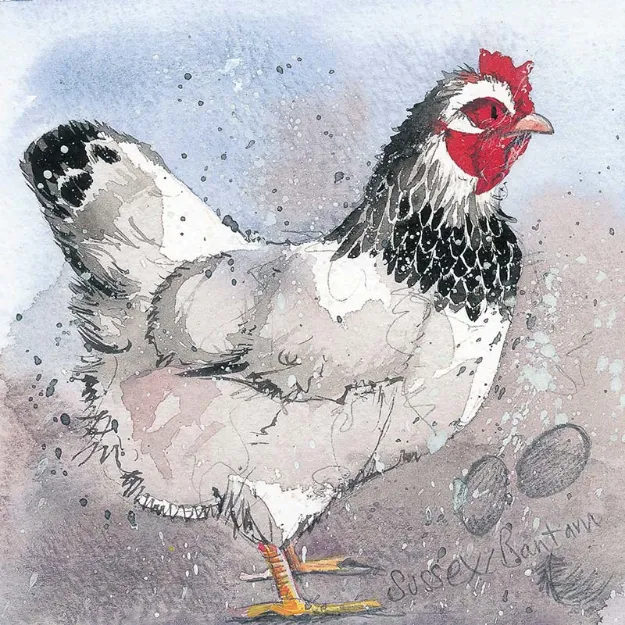 Bild von SUSSEX BANTAM COASTER