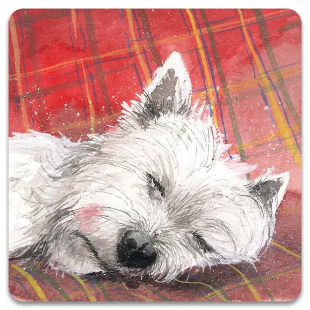 Bild von TARTAN RUG FRIDGE MAGNET