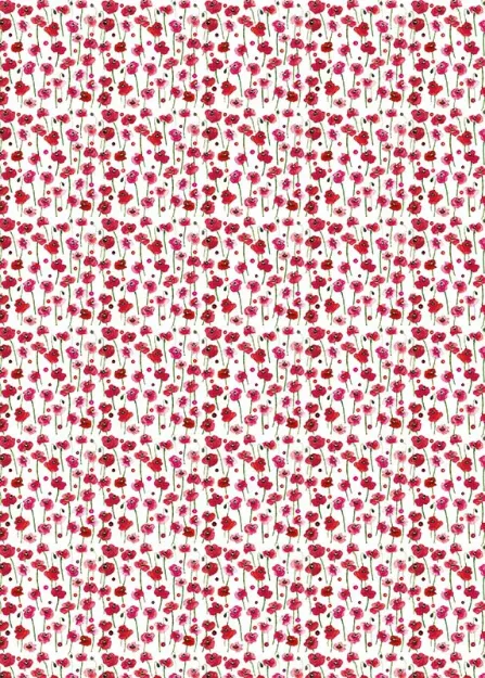 Bild von POPPIES GIFT WRAP