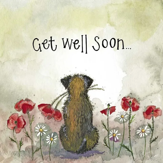 Bild von STARLIGHT GINGER CAT GET WELL SOON FOIL CARD