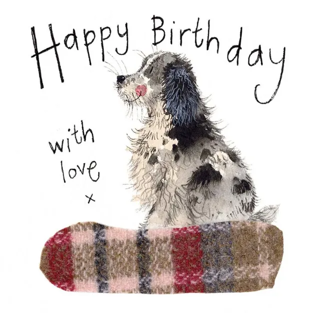 Bild von SPANIEL BIRTHDAY CARD