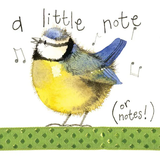 Bild von LITTLE NOTE BLUE TIT CARD