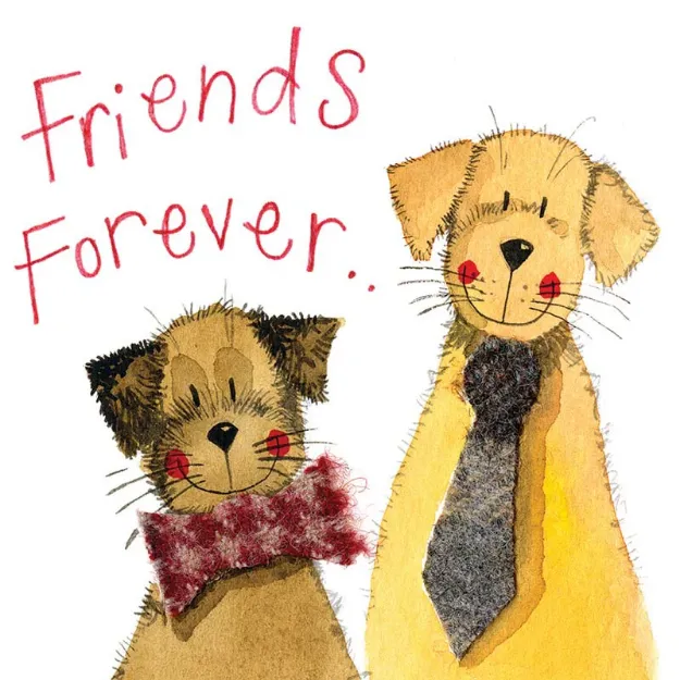 Bild von FRIENDS FOREVER MISCELLANEOUS CARD