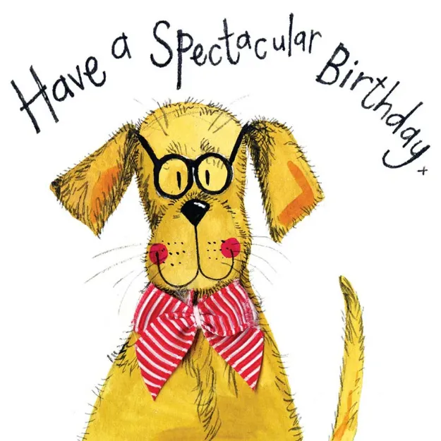 Bild von SPECTACLES BIRTHDAY CARD
