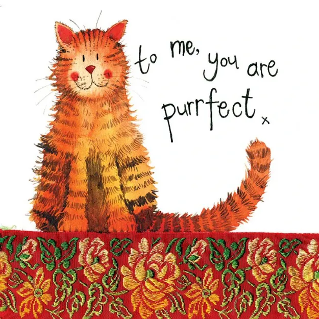 Bild von PURRFECT MISCELLANEOUS CARD