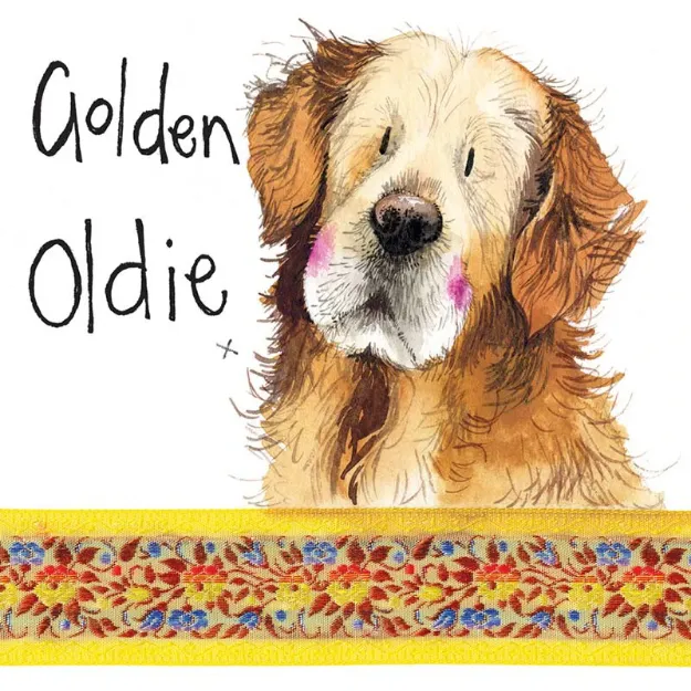 Bild von GOLDEN OLDIE